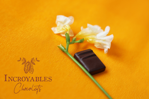 Coffret Fête des Mères Incroyables Chocolats